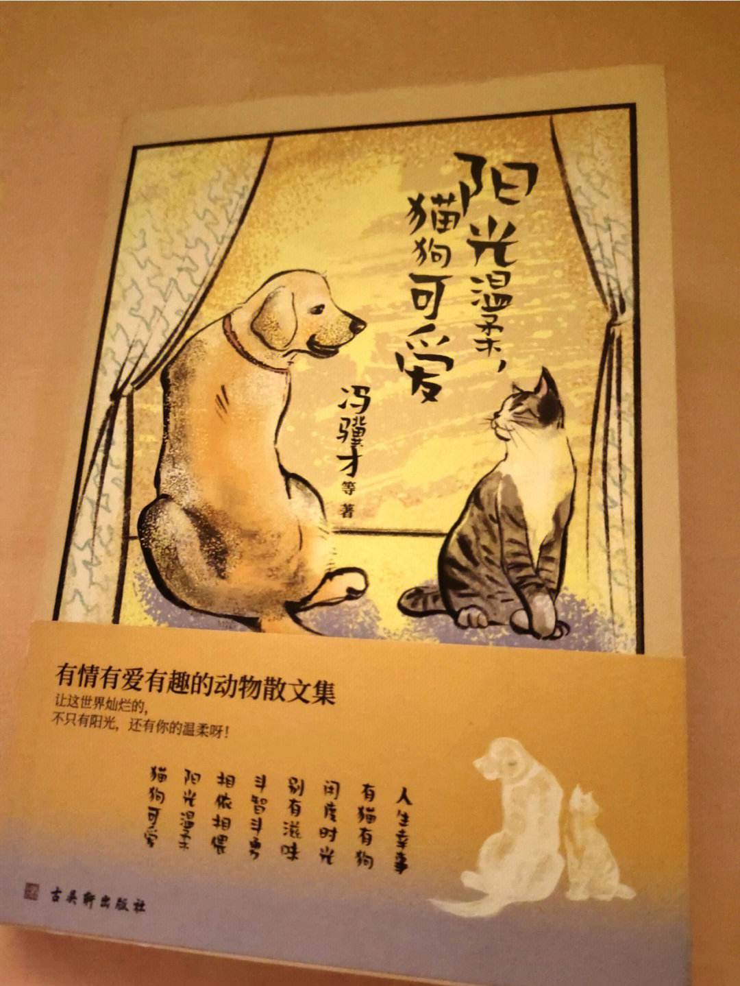 猫作文350字(猫作文350字四年级下册)