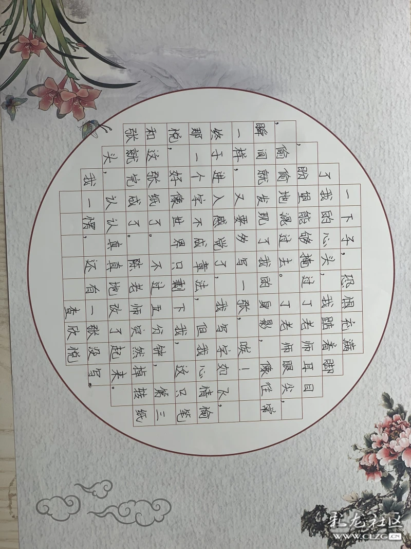 中国书法作文(中国书法作文800字)