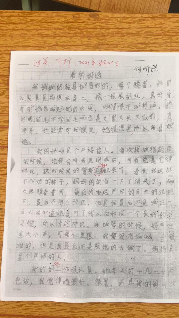 我上二年级了作文(我上二年级了作文感受与收获)