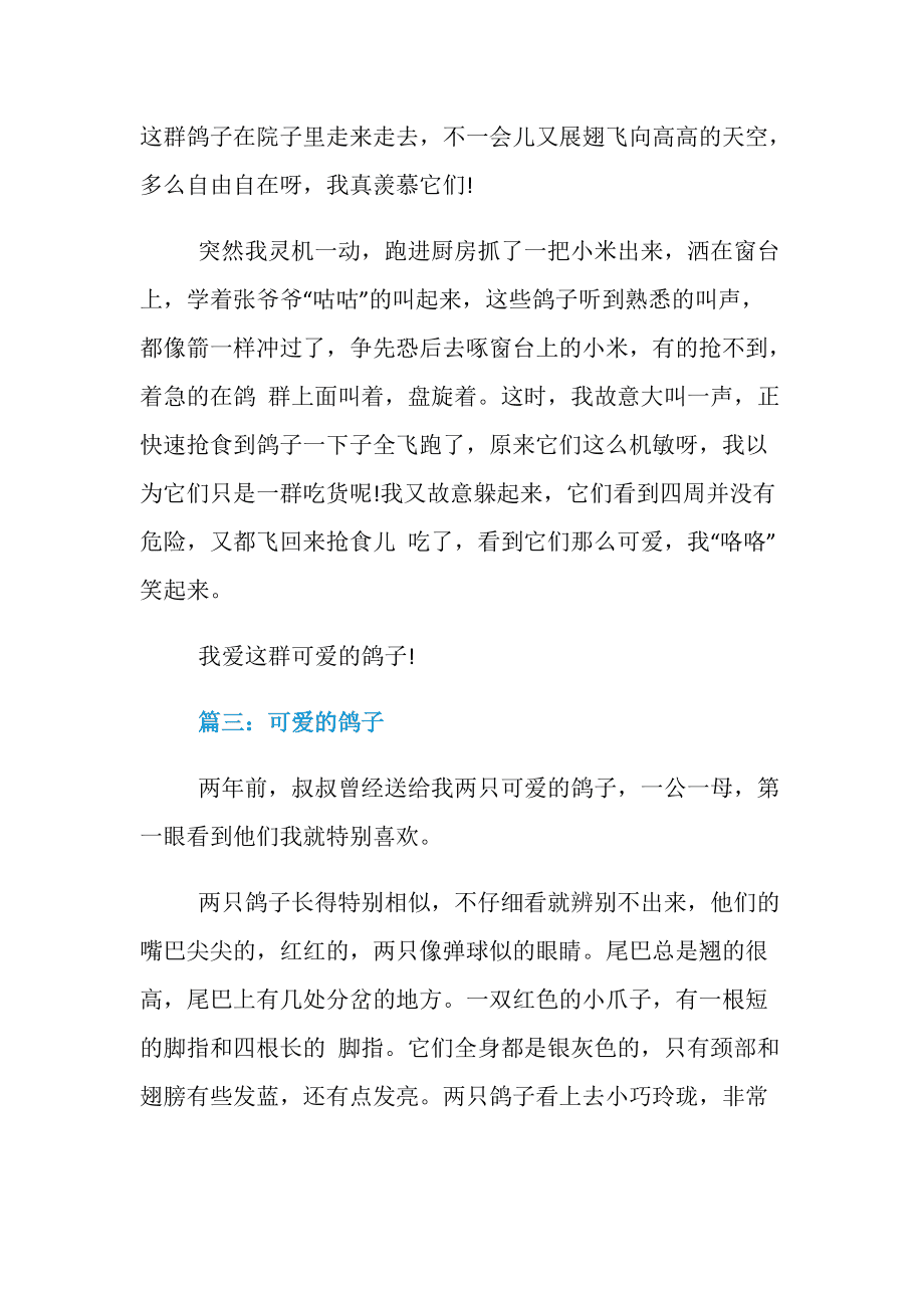 可爱的鸽子作文(可爱的鸽子作文300字)