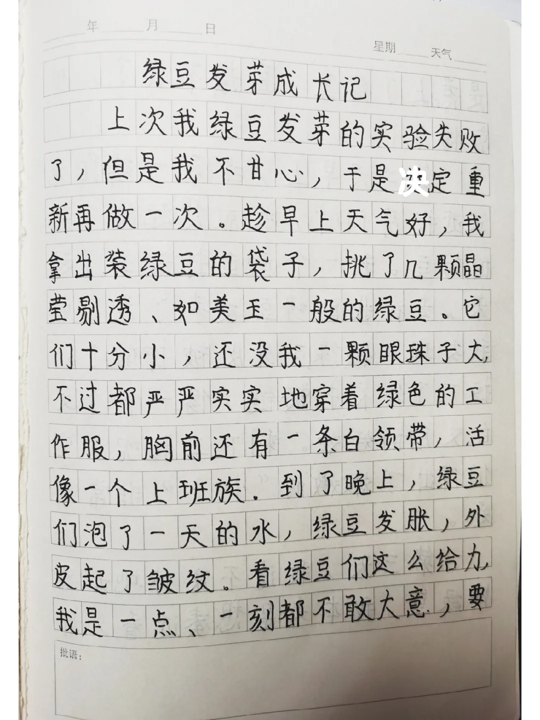 四百字观察作文(四百字观察作文怎么写)