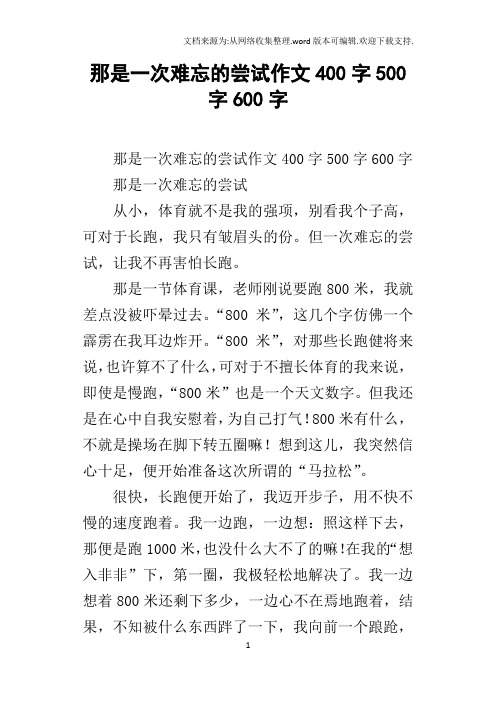 一次的尝试作文(一次的尝试作文400字)