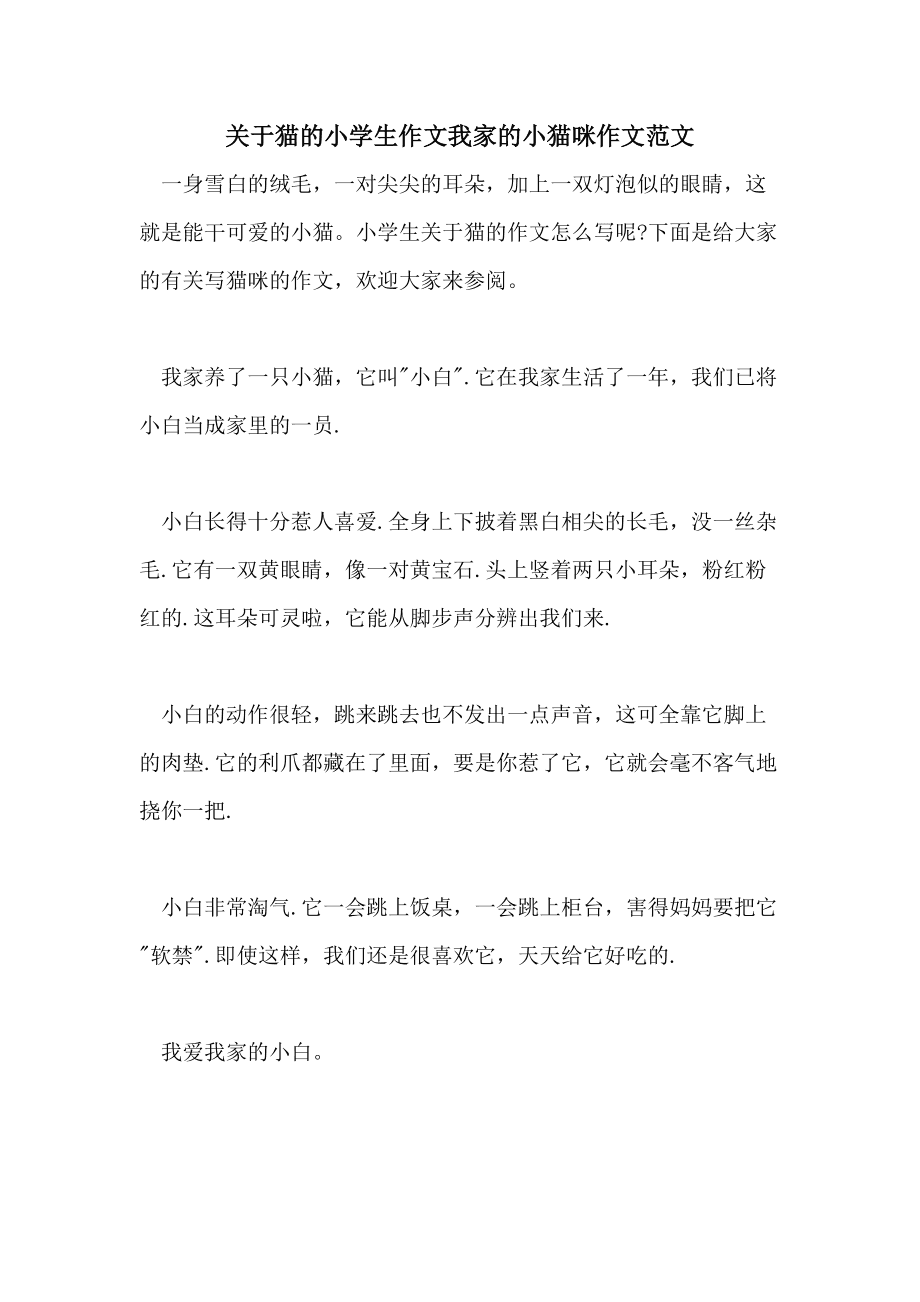 关于猫的作文200字(关于猫的作文200字以上)