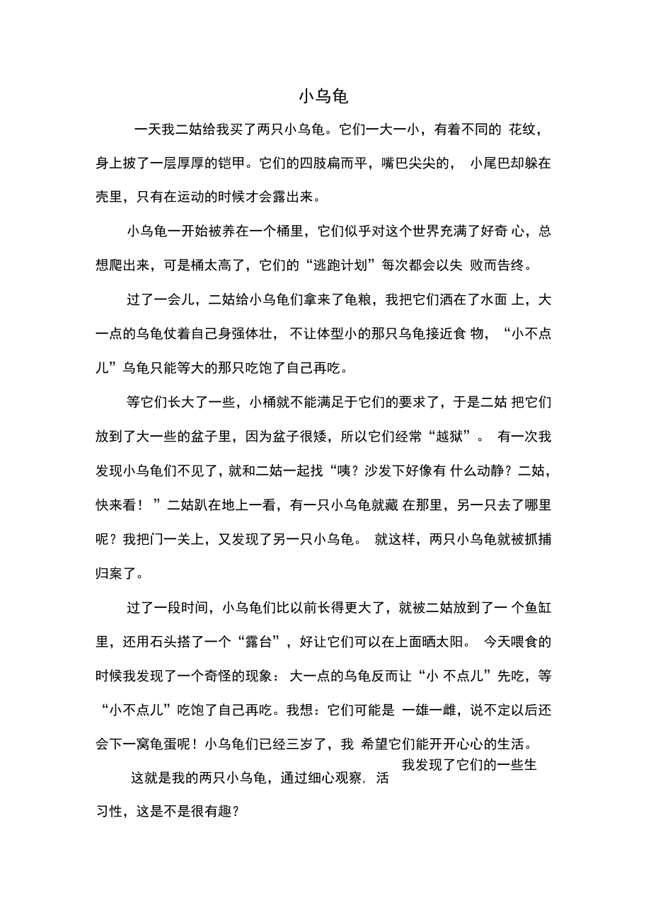 我的乌龟作文(我的乌龟作文600字)