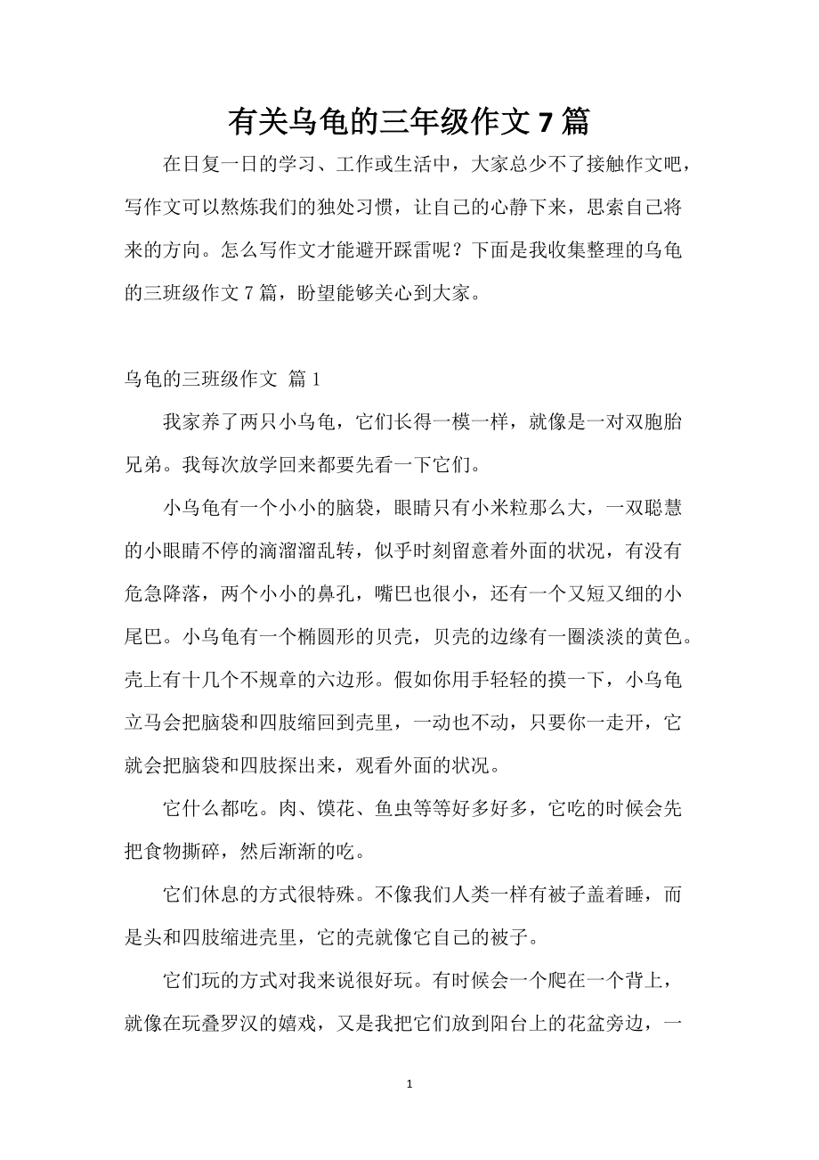 我的乌龟作文(我的乌龟作文600字)